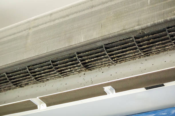 Best HVAC Air Duct Cleaning  in Limesa, CA